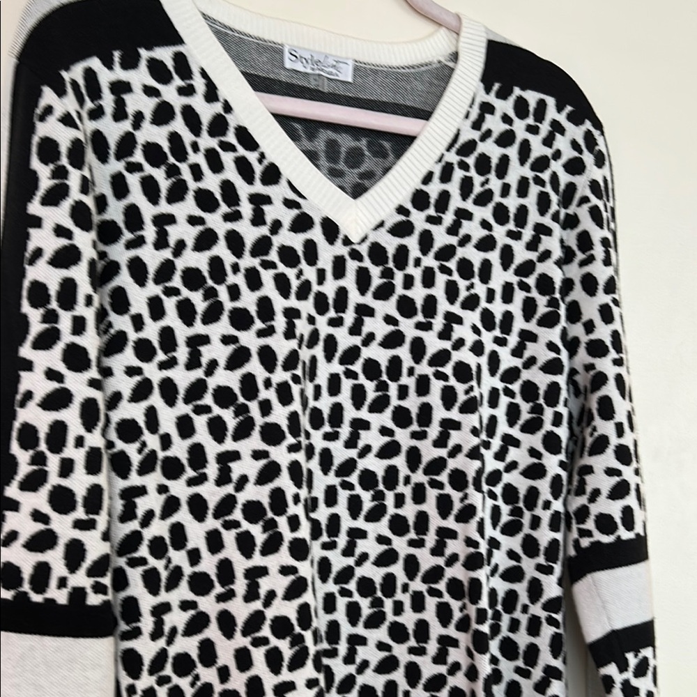 Style & Co. Black and White V-Neck Sweater
